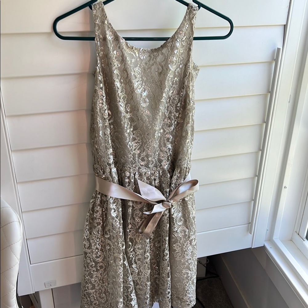 Polo Ralph Lauren Silver Embellished dress